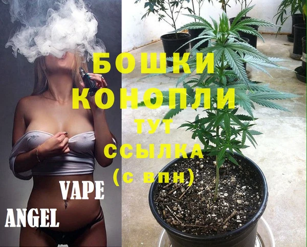 МДПВ Алзамай