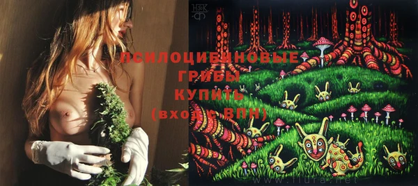 ешки Алексин