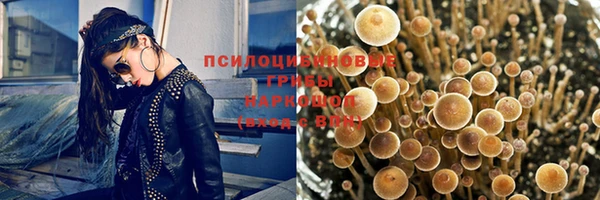МДПВ Алзамай